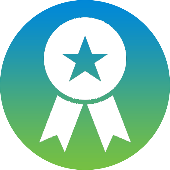 standard-of-excellence-icon